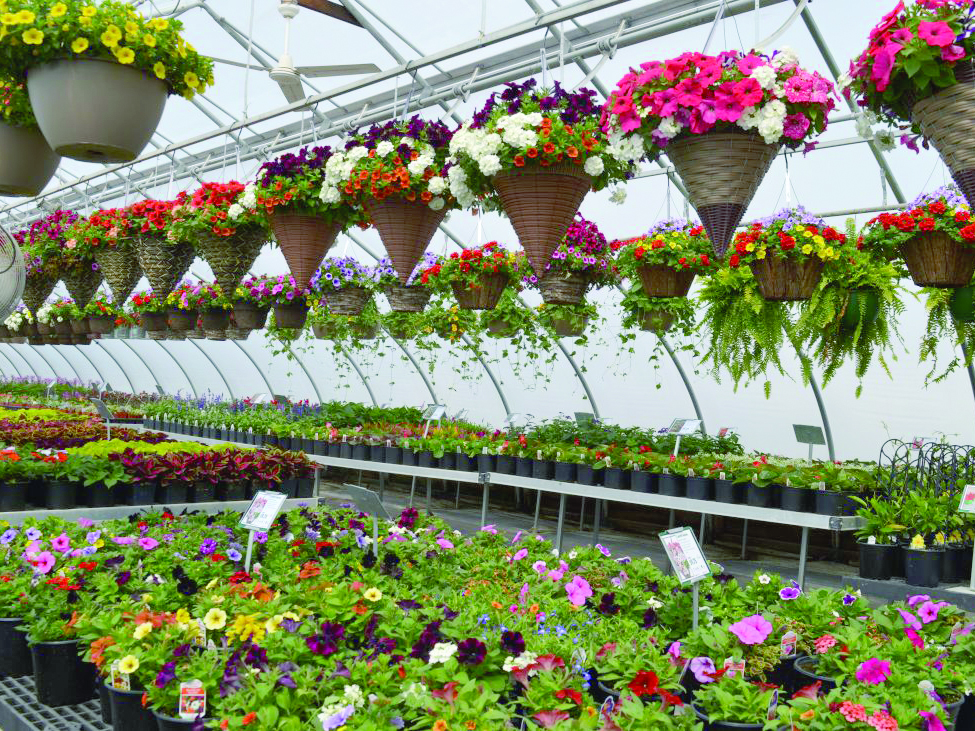 Greenhouses busy as warm weather arrives News, Sports, Jobs The